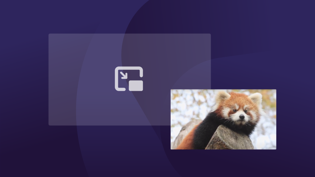 Celebrating 20 years of Firefox with 20 red panda cams