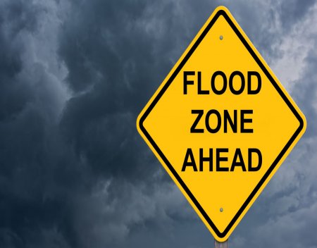 flood zone rates