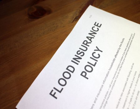 High risk flood insurance cost