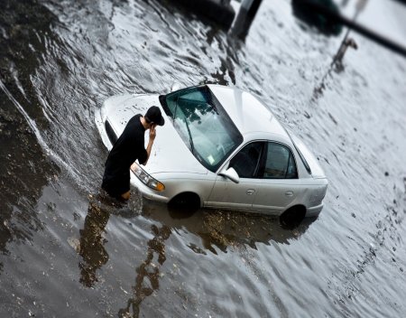 nflp flood insurance rates