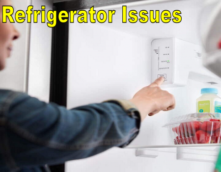 Refrigerator Temperature Issues