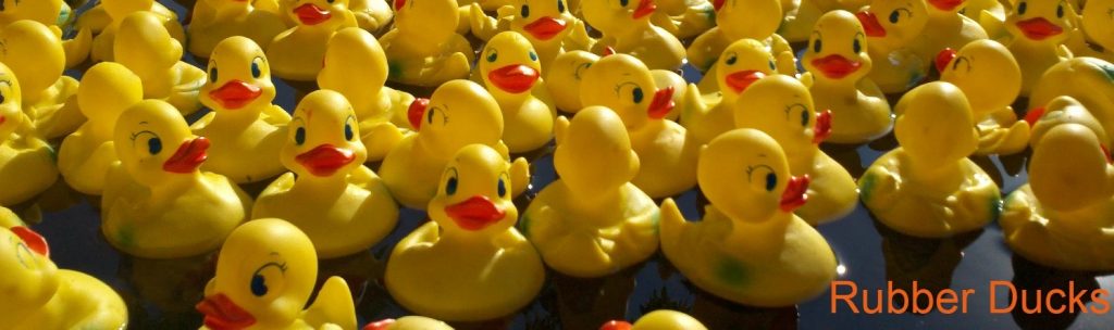 The Duck Race is On